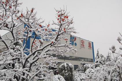 山东5001拉斯维加斯机床：雪景一角.jpg